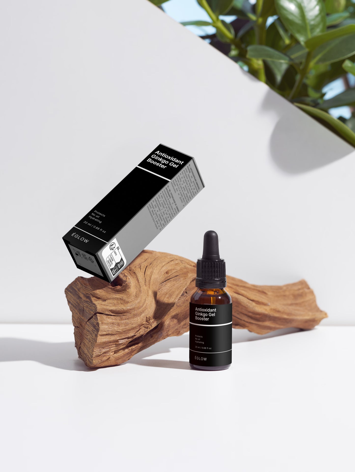 Antioxidant Ginkgo Gel Booster